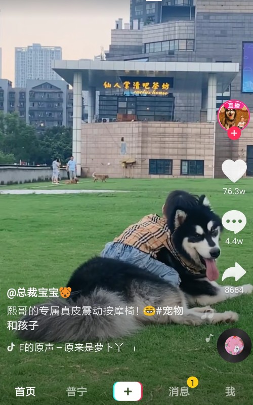 抖音之前的手机号码不用了也收不到验证码怎么解绑手机号码然后换另一个号码