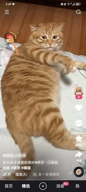 快手怎么看自己的等级